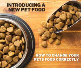 Changing Your Pets Food